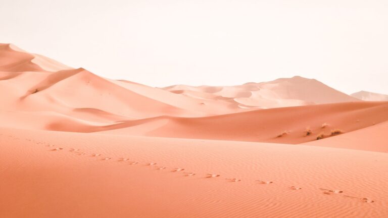 landskapsfotografering av ørken
