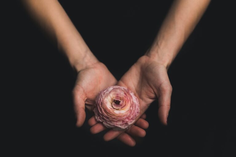 person som holder rosa blomst